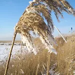 아파트 Kaptein Meyer 징스트