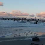 Kaptein Meyer 아파트