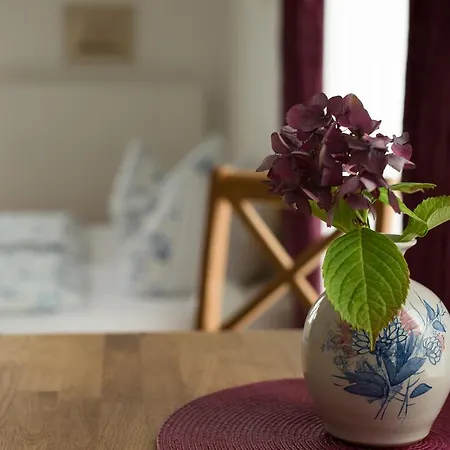 Kaptein Meyer Zingst