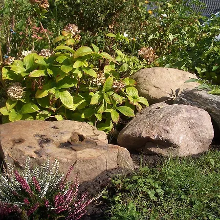 Apartman Kaptein Meyer Zingst