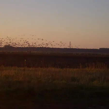 Kaptein Meyer * Zingst