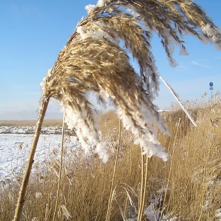Apartman Kaptein Meyer Zingst