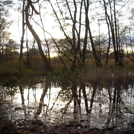 Apartman Kaptein Meyer