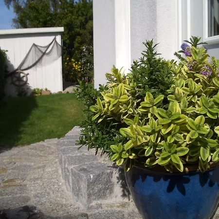 Kaptein Meyer Zingst