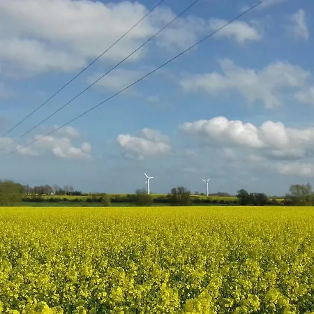 Kaptein Meyer זינקסט